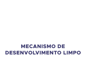 Simbologia do selo de Mecanismo de Desenvolvimento Limpo concedido à Jirau Energia
